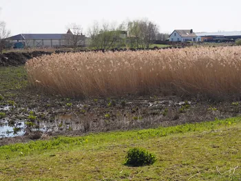 Kalkense Meersen (België)